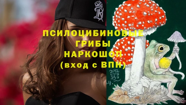 ГАЛЛЮЦИНОГЕННЫЕ ГРИБЫ Армянск
