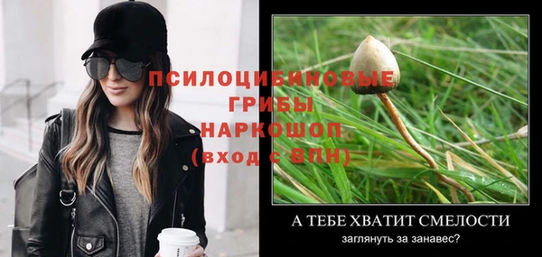 ГАЛЛЮЦИНОГЕННЫЕ ГРИБЫ Армянск